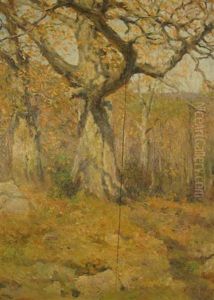 Autumn Forest Autumn Forest