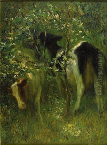 Two Cows In Flowering Bushes - view 1