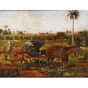 Plantacion De Azucar