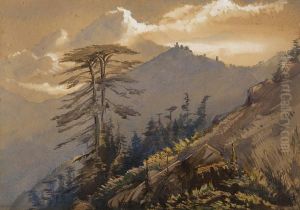 Mountainous Landscape