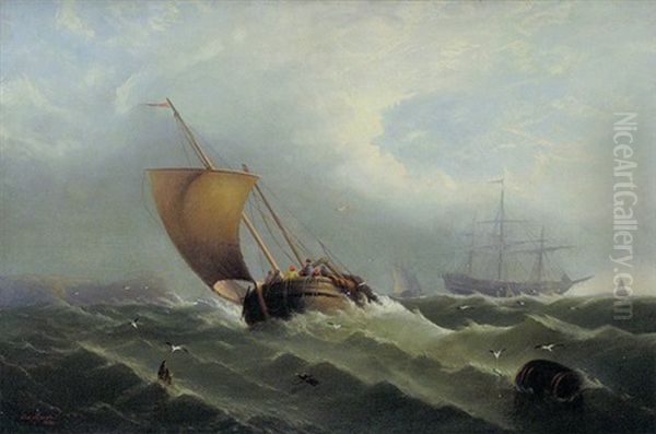 A Shipwreck - view 1