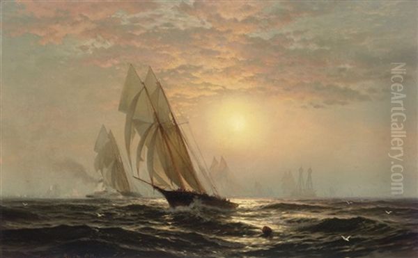 The Madeleine's Victory Over The Countess Of Dufferin, Third America's Cup Challeger, August 11 - view 1