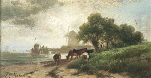 Cattle Grazing By The Shore With A Windmill Beyond Cattle Grazing By The Shore With A Windmill Beyond
