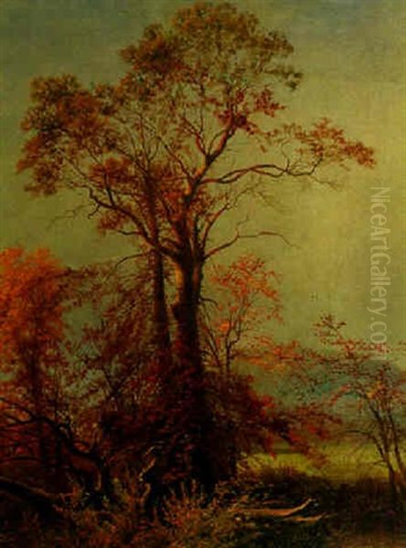 Trees In A Landscape - view 1