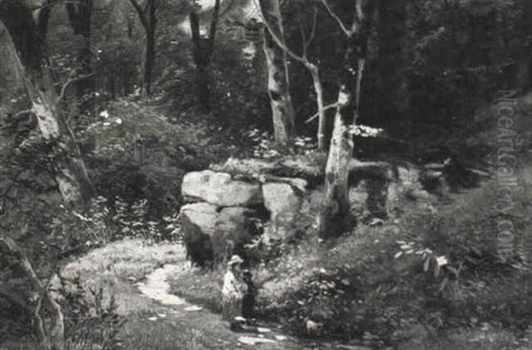 Stroll Through The Woods - view 1