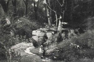 Stroll Through The Woods