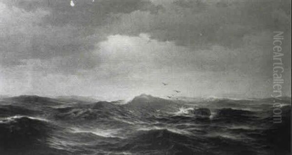 Mid-ocean - view 1