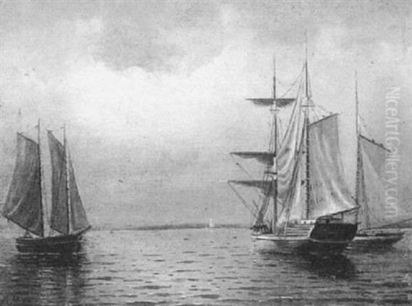 Sailboats On A Calm Sea - view 1