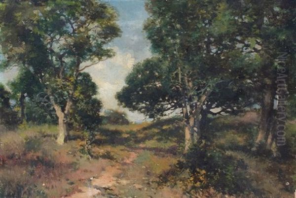 California Country Lane - view 1