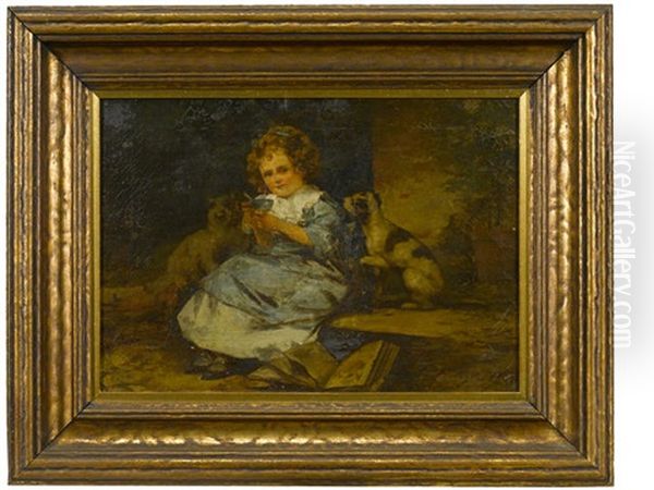 The Young Pets - view 1