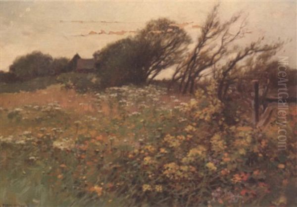 Spring Landscape - view 1