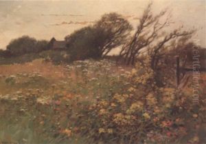 Spring Landscape Spring Landscape