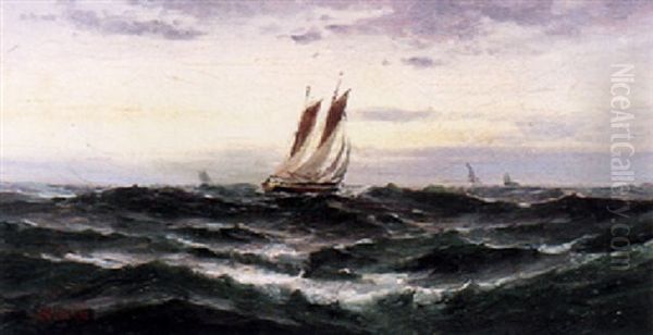 Ships On Rough Water - view 1