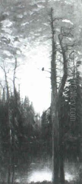 Hudson River With Owl In Sunset Lake Landscape - view 1