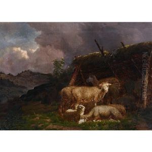 Sheep Sheep