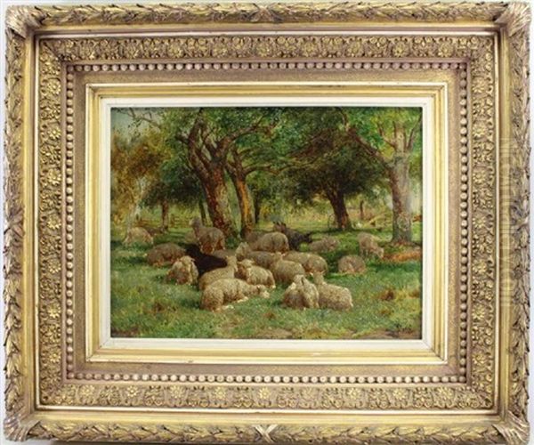 Sheep In An Orchard - view 1