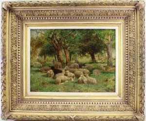 Sheep In An Orchard Sheep In An Orchard