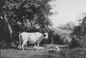 Animals In A Clearing Animals In A Clearing