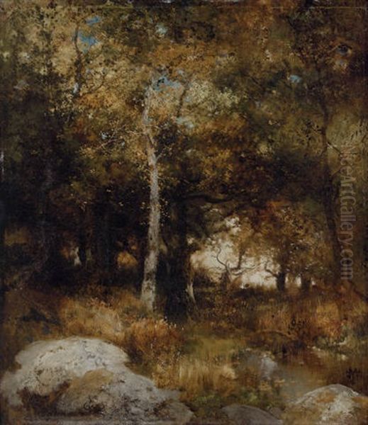 Autumn Wood - view 1