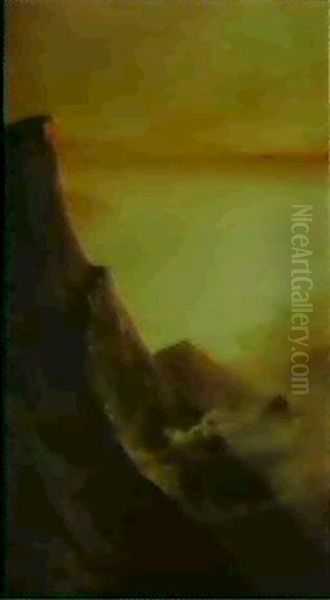 Mt. Tamalpais - view 1