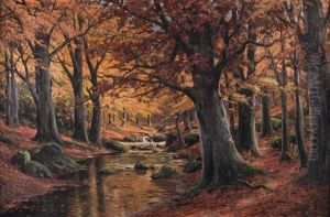 Herbstwald by Bruno Moras
