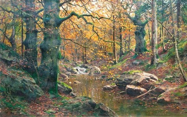 Bachlauf Im Herbstwald - view 1