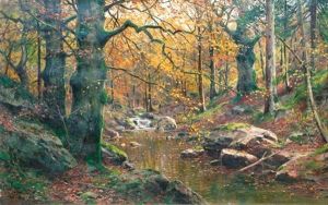 Bachlauf Im Herbstwald