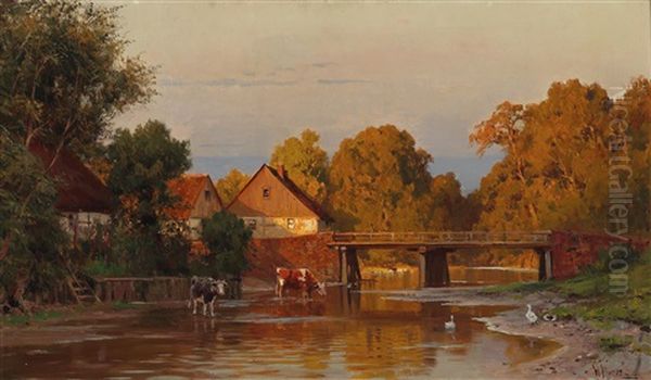 River With Animals In The Afternoon Sun - view 1