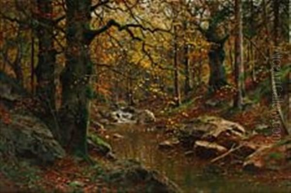 Autumn Forest With A Stream - view 1