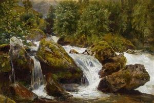 Wildwasser Im Risengebirge