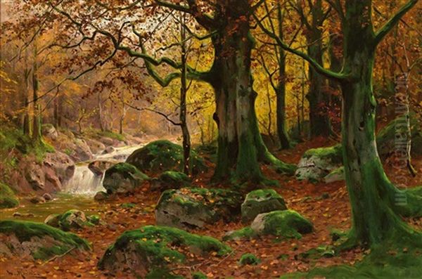 Herbstliche Waldlandschaft Mit Sprudelndem Bachlein - view 1