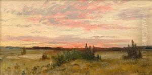 Sonnenaufgang In Mecklenburgischer Landschaft Sonnenaufgang In Mecklenburgischer Landschaft