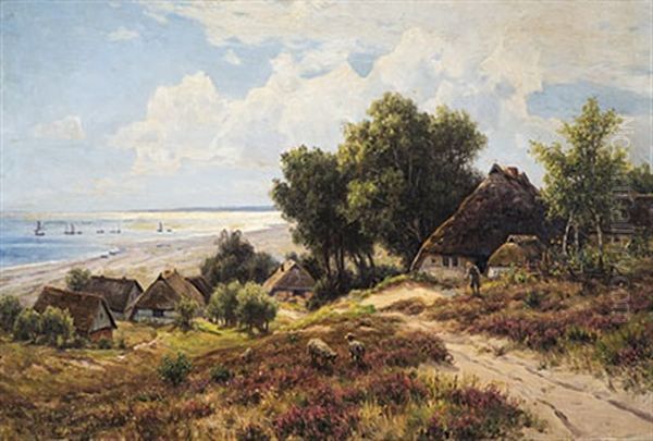 Heidelandschaft Auf Monchgut, Rugen - view 1