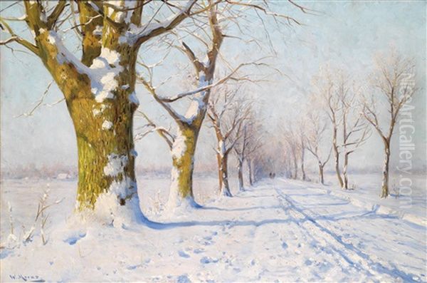 Sonniger Wintertag - view 1