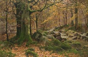 Herbstlicher Waldbach by Walter Moras