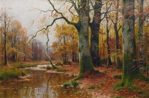 Creek In An Autumnal Forest