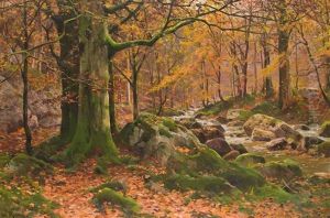 Herbst Am Waldbach Herbst Am Waldbach