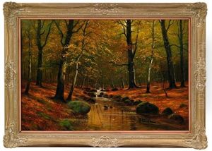 Bachlauf Im Herbstlichen Wald