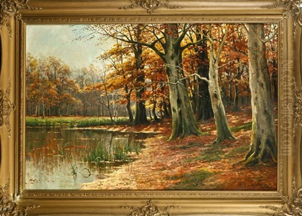 Herbstliche Stimmung Am Waldweiher - view 1