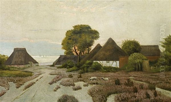 Abend An Der Kuste Bei Ahrenshoop - view 1