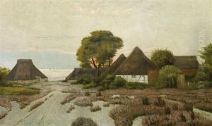Abend An Der Kuste Bei Ahrenshoop