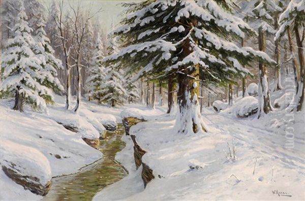 Winterwald Mit Bachlauf - view 1