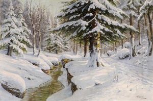Winterwald Mit Bachlauf