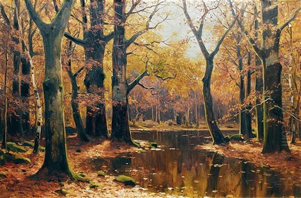 Waldlandschaft Mit Teich - view 1