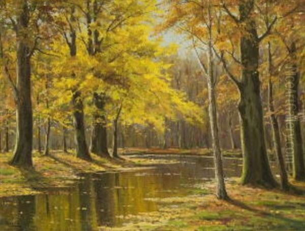 Bachlauf Im Herbstwald - view 1