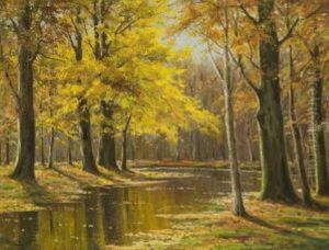 Bachlauf Im Herbstwald