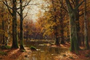 Herbstlicher Waldteich Herbstlicher Waldteich