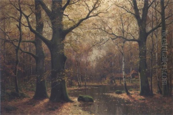 Herbst Im Spreewald - view 1