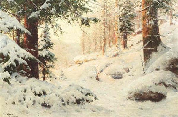 Winterwald Im Abendlicht - view 1