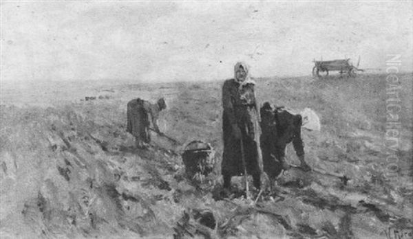 Bauerinnen Bei Der Kartoffelernte - view 1